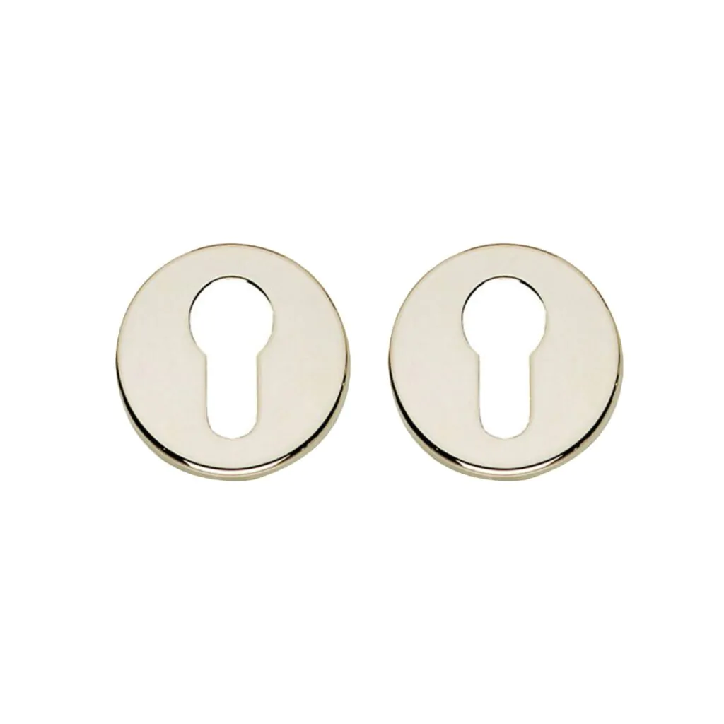 Intersteel | Rozet profielcilindergat | Nikkel Intersteel Rozet Profielcilindergat Verdekt Nikke