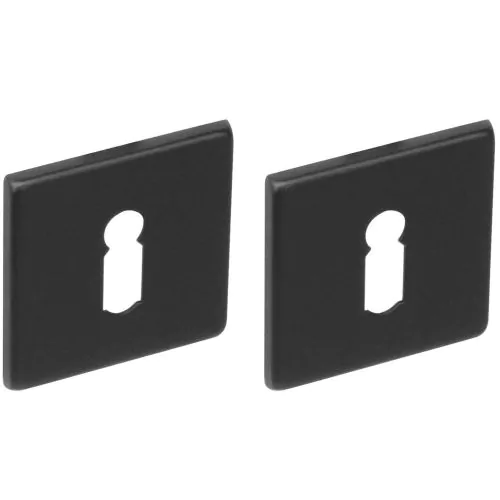 Intersteel | Rozet sleutelgat | Vierkant | RVS Geborsteld Mat Zwart