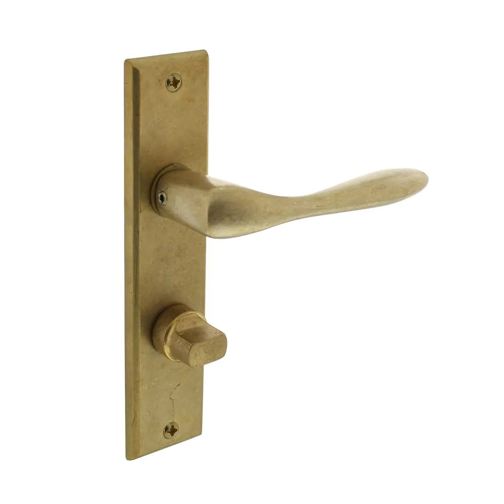 Intersteel Deurkruk Banaan met schild 181x41x7mm messing getrommeld WC638