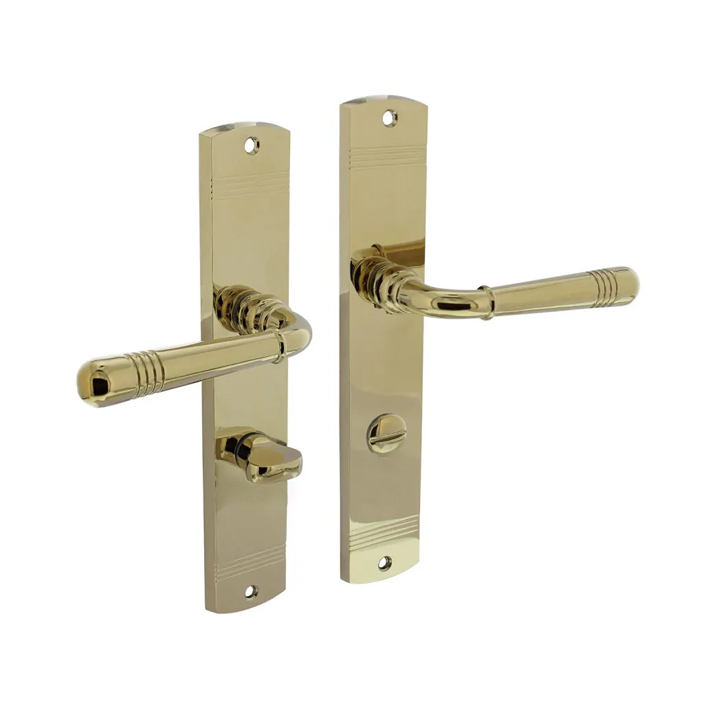 Intersteel Deurkruk Emily op schild 235x45x8 mm messing gelakt WC638