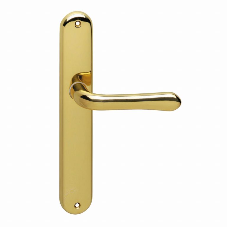 Intersteel Deurkruk Saturnus op schild messing gelakt Blind