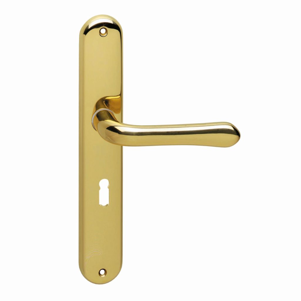 Intersteel Deurkruk Saturnus op schild messing gelakt SL56