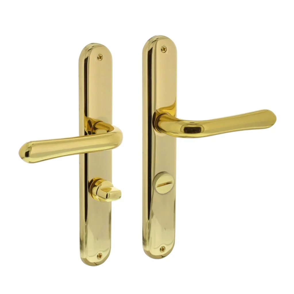 Intersteel Deurkruk Saturnus op schild messing gelakt WC638