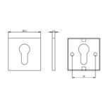 Intersteel Rozet profielcilindergat vierkant plat rvs geborsteld 1