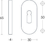 Intersteel Rozet sleutelgat ovaal verdekt rvs geborsteld 4 mm 1