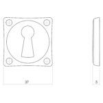 Intersteel Rozet sleutelgat schroefgat vierkant messing getrommeld 1