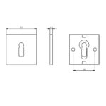 Intersteel Rozet sleutelgat vierkant rvs geborsteld mat zwart 1