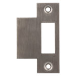 Nemef Sluitplaat RVS p125517 1