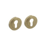 Intersteel | Rozet met PC55x10mm | Messing Titaan PVD