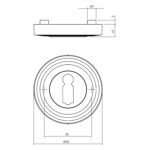 import 1368 0013.317816 2