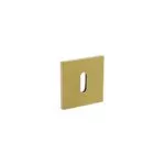 Olivari | Rozet met sleutelgat | Vierkant | Messing mat titaan PVD