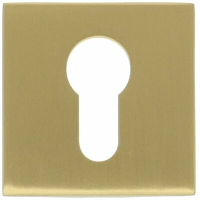 Formani | Cilinderplaatje BASIC BSQY53 | PVD mat Goud