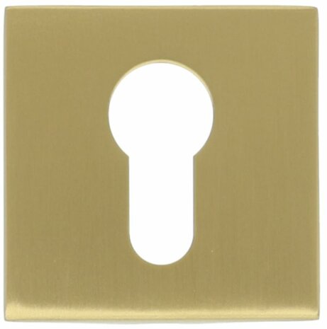 Formani | Cilinderplaatje BASIC BSQY53 | PVD mat Goud