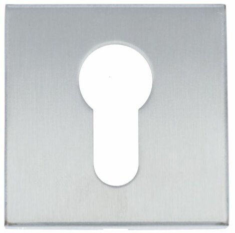 Formani | Cilinderplaatje BASIC BSQY53 | RVS mat