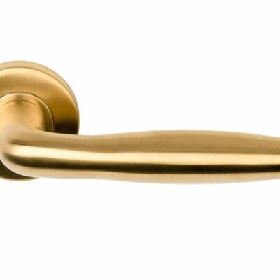 Deurkruk Cavetto | ronde rozet | PVD Mat Goud