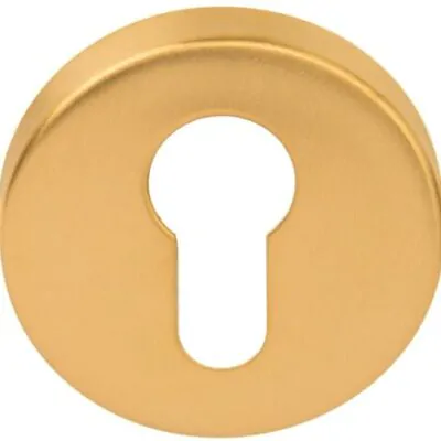 Formani | Cilinderplaatje BASIC LBY50D | 10mm | PVD Mat Goud