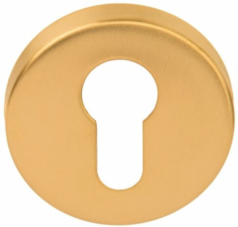 Formani | Cilinderplaatje BASIC LBY50D | 10mm | PVD Mat Goud