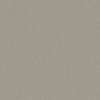 1200x1200.pfleiderer m80001 alu 2 echt alu 2 nickel 300dpi