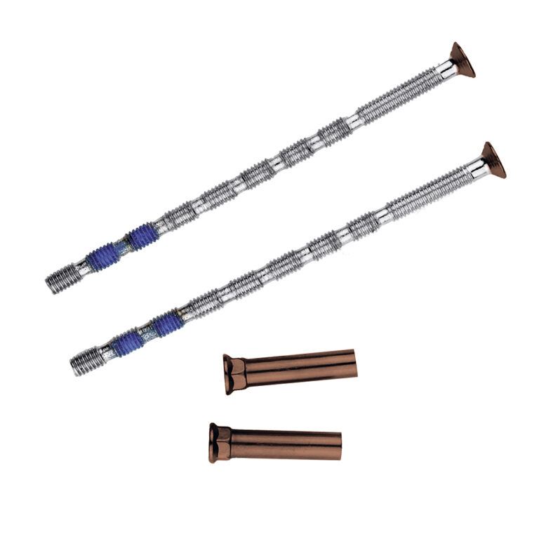 Vijzenset Patentbout 100mm Roest