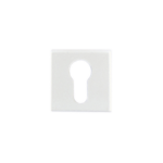 download 2024 12 16T214157.609