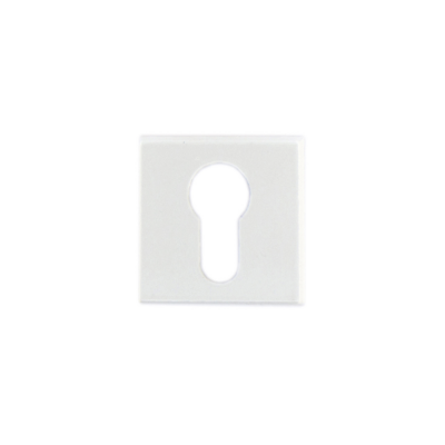 download 2024 12 16T214157.609