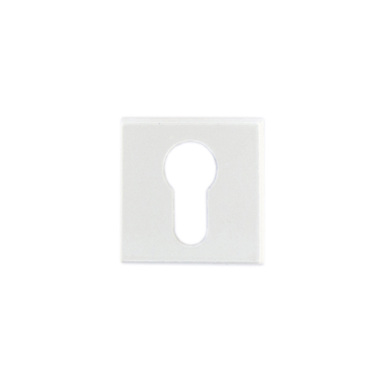 download 2024 12 16T214157.609