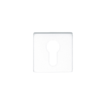 download 2024 12 16T224547.749