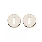 Intersteel Rozet Sleutelgat Verdekt Nikkel