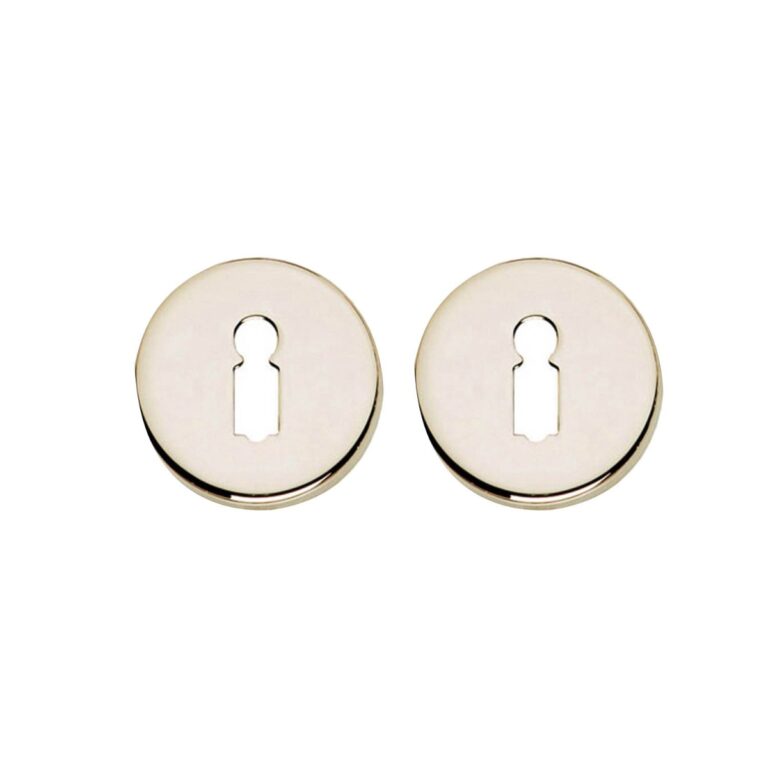 Intersteel Rozet Sleutelgat Verdekt Nikkel