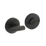 Intersteel WC-sluiting Shiraat verdekt ø55x8mm PVD Zwart