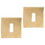 Differnz | Rozet met Sleutelgat | Goud | Vierkant | 52x52mm